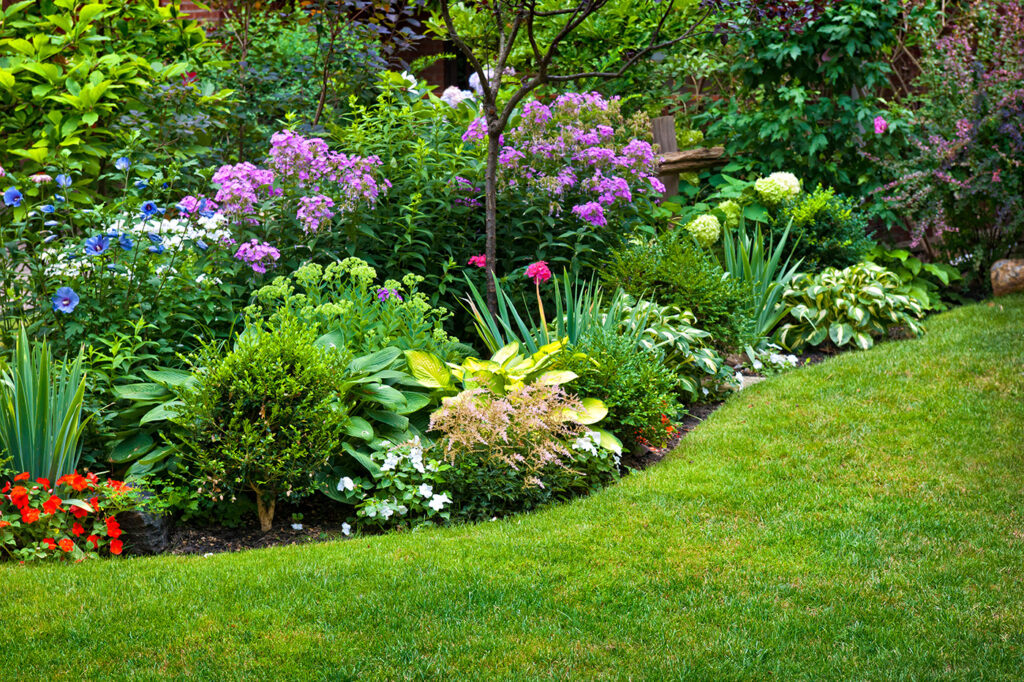 Bunter Garten mit verschiedenen Blumen und Pflanzen, gepflegter Rasen im Vordergrund.