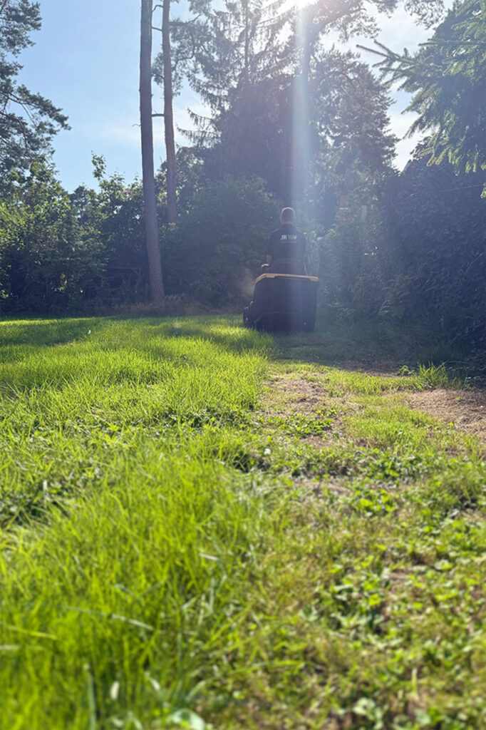 Mann mäht den Rasen in einem sonnigen Garten mit hohen Bäumen im Hintergrund.